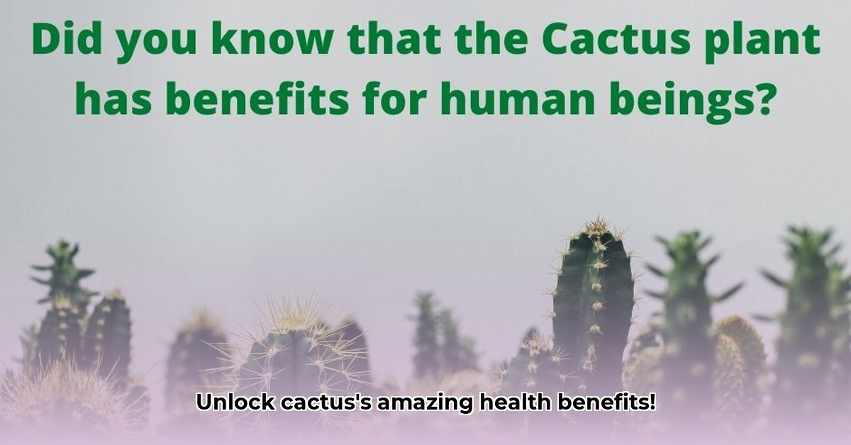 benefits-of-cactus-plant-at-home